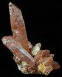 Natural Red Quartz Crystals - Morocco #51550-1